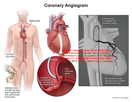Medical Exhibits, Demonstrative Aids, Illustrations and Models